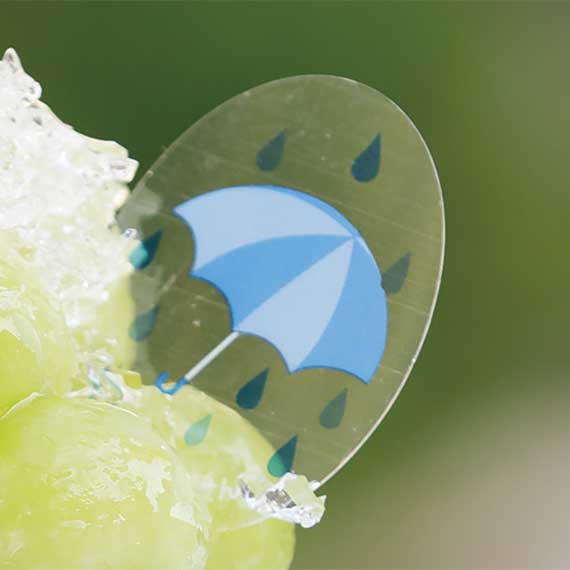 (対象画像) 雨のしずくケーキピック（500枚入）
