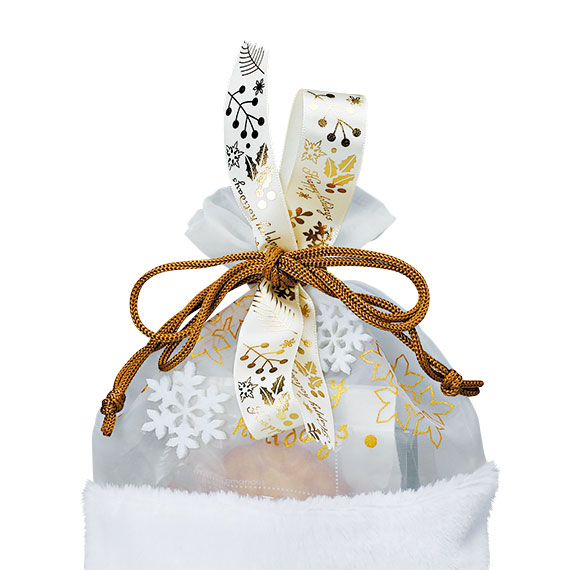 (対象画像) ウィンタープランツ（1巻入）