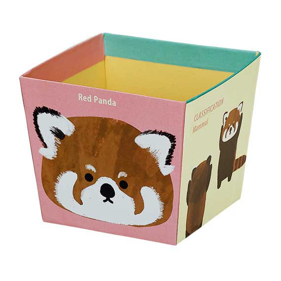(対象画像) レッサーパンダBOX（10個入）