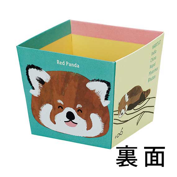 (対象画像) レッサーパンダBOX（10個入）