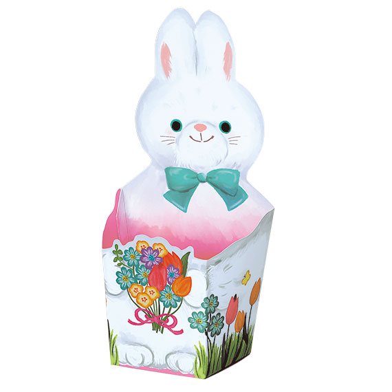 (対象画像) ノムリエ（20個入）