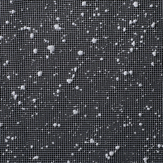 (対象画像) スノーメッシュ（1巻入）