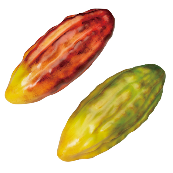 (対象画像) カカオポッド 2色アソート（6個入）